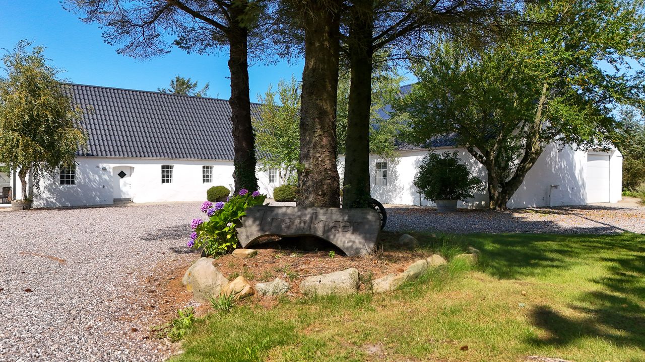 image 04